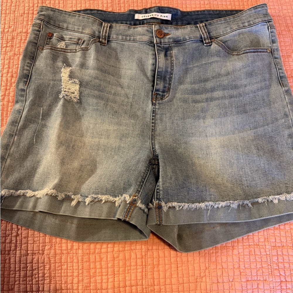 Distressed Denim Shorts